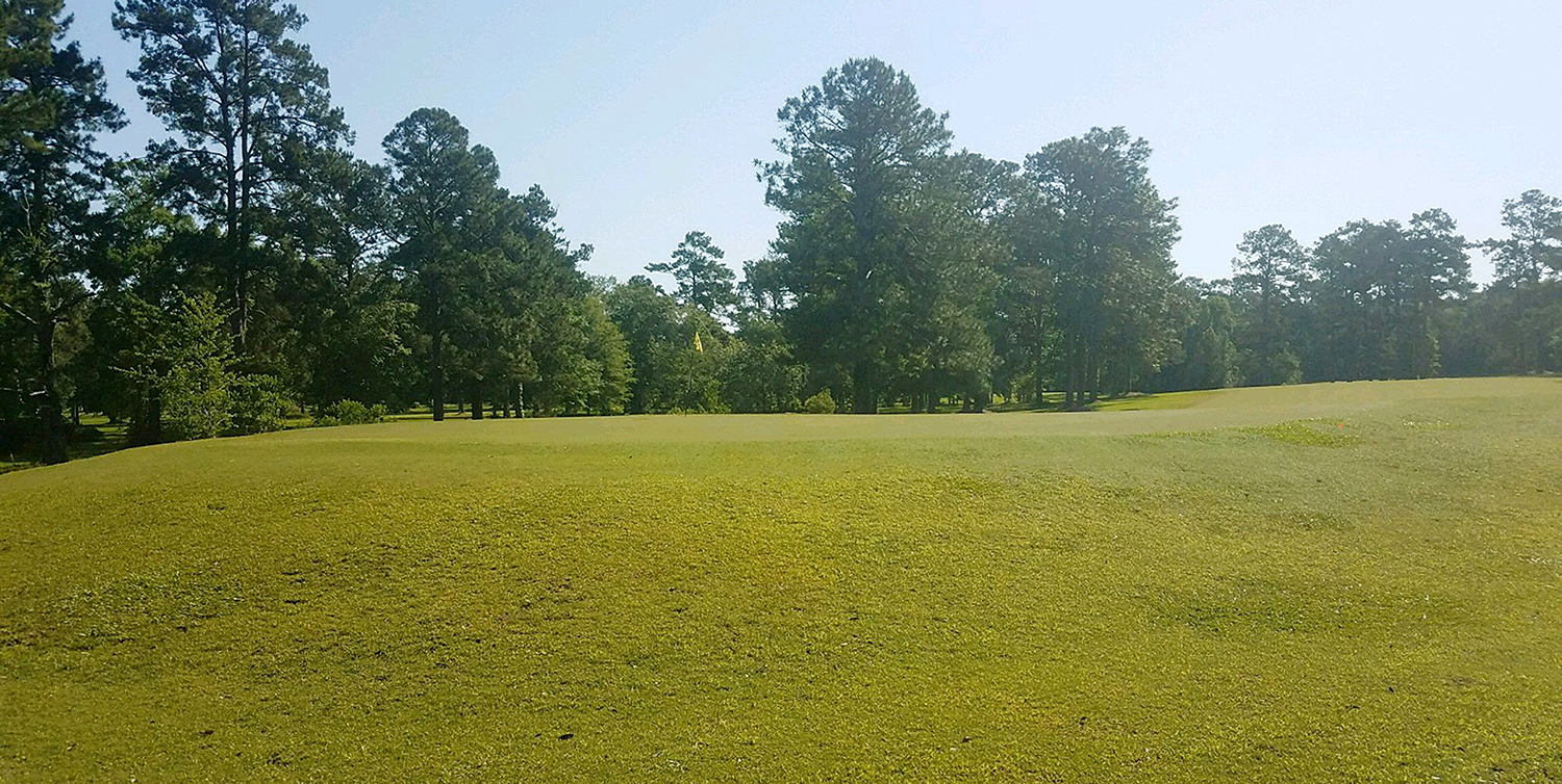 Junior golf league starting in early June at Franklinton Country Club ...