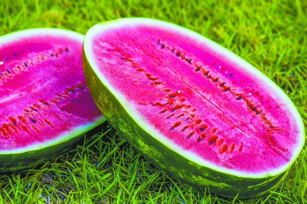 Tangipahoa and Washington Parish Are Among Top-Ranking Parishes for Horticultural Crops