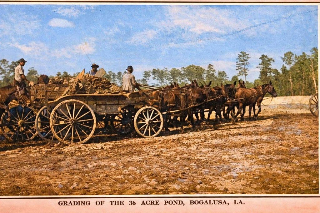 Great Southern Lumber Company:  The Story Behind Bogalusa’s Industrial Giant